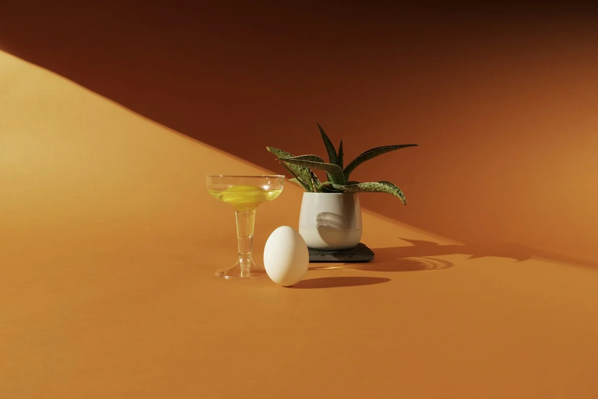 How to Dry Shake a Cocktail for Better Egg-White Foam