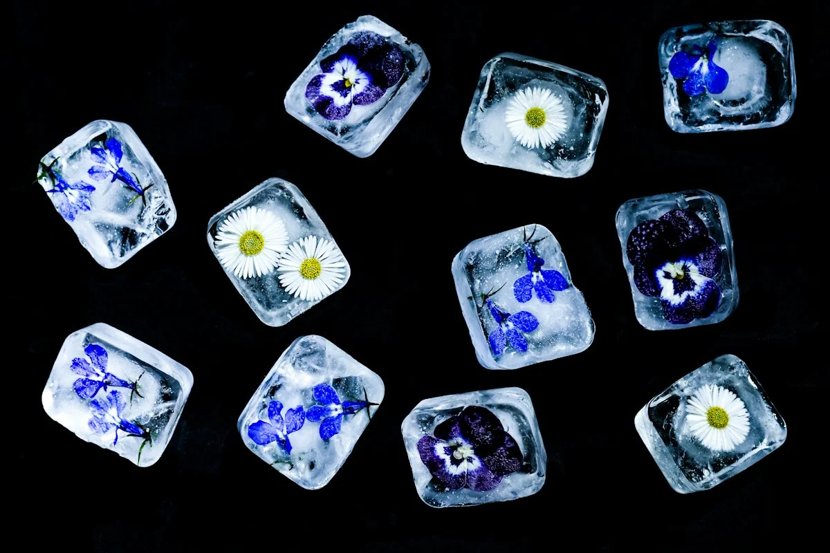 How Long Does It Take Ice Cubes to Freeze? A Practical Freezer Guide