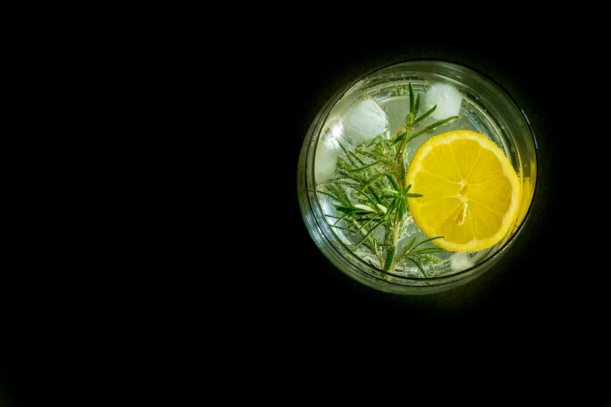 Best Glass for a Gin and Tonic: Highball, Copa, or Wine Glass?
