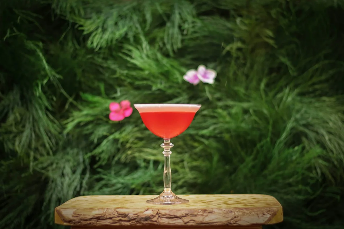 Clover Club Cocktail Recipe: How to Make the Classic Raspberry Gin Sour